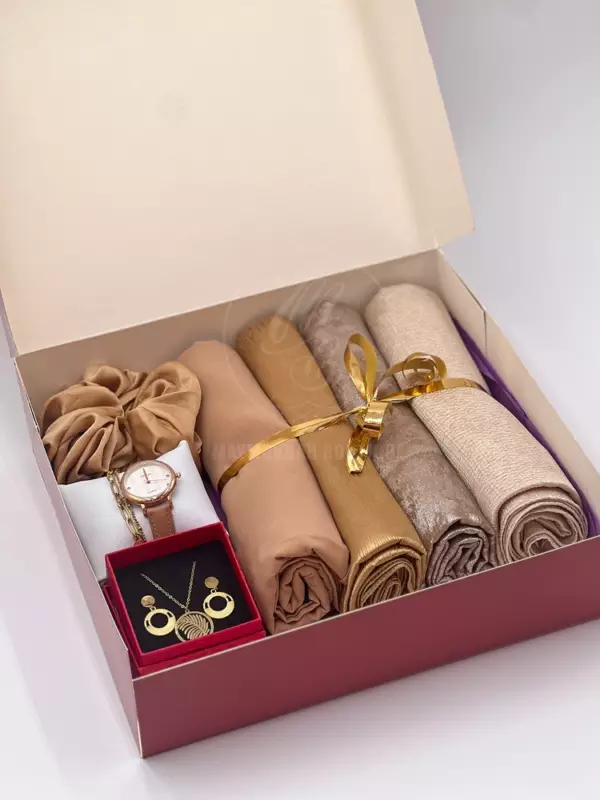 Box Biryani V2